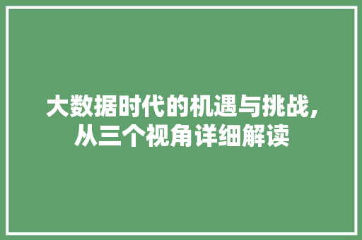 大数据时代的机遇与挑战,从三个视角详细解读
