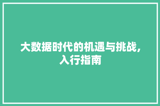 大数据时代的机遇与挑战,入行指南