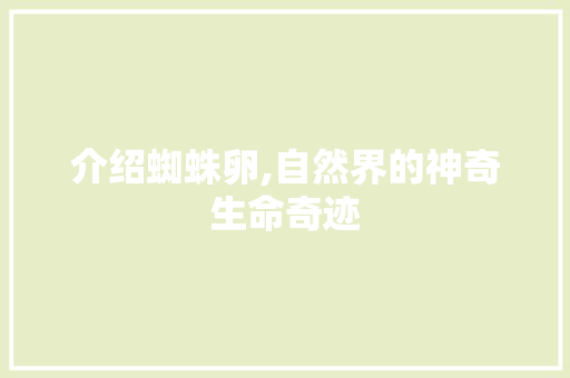 介绍蜘蛛卵,自然界的神奇生命奇迹