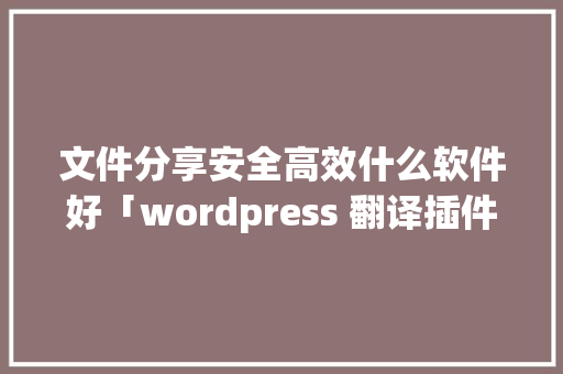 文件分享安全高效什么软件好「wordpress 翻译插件」