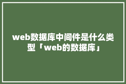web数据库中间件是什么类型「web的数据库」