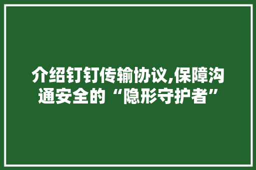 介绍钉钉传输协议,保障沟通安全的“隐形守护者” SEO教程