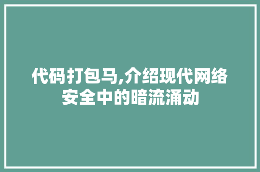 代码打包马,介绍现代网络安全中的暗流涌动 友链在线