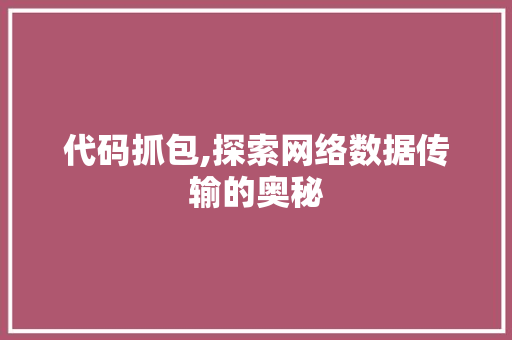 代码抓包,探索网络数据传输的奥秘