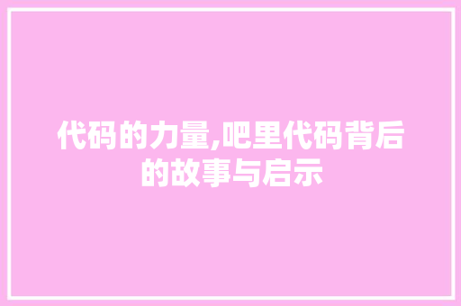 代码的力量,吧里代码背后的故事与启示