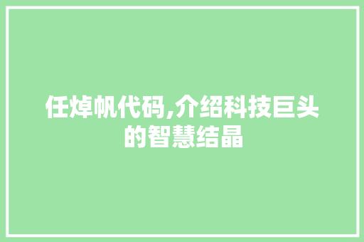 任焯帆代码,介绍科技巨头的智慧结晶