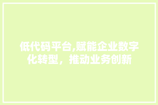 低代码平台,赋能企业数字化转型，推动业务创新