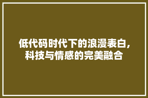 低代码时代下的浪漫表白,科技与情感的完美融合