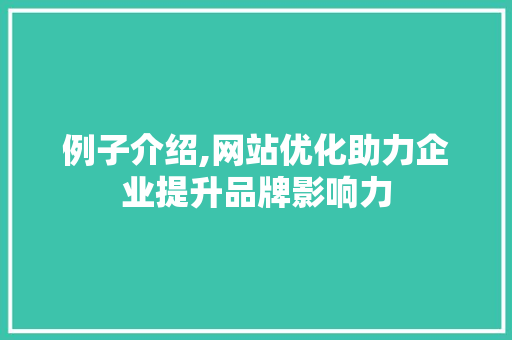 例子介绍,网站优化助力企业提升品牌影响力