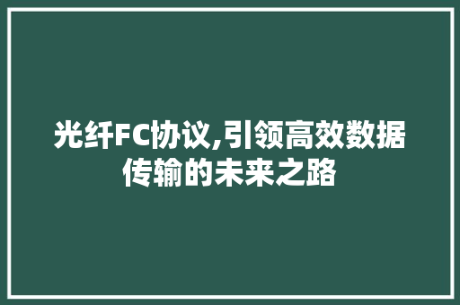 光纤FC协议,引领高效数据传输的未来之路 Web前端