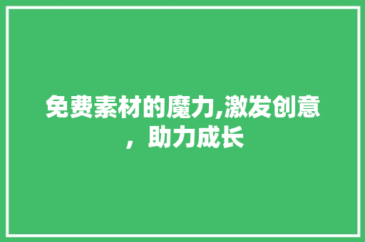 免费素材的魔力,激发创意，助力成长
