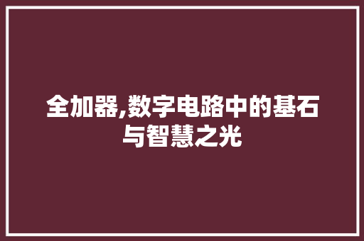 全加器,数字电路中的基石与智慧之光
