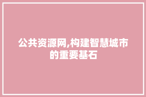 公共资源网,构建智慧城市的重要基石 服务器/数据库