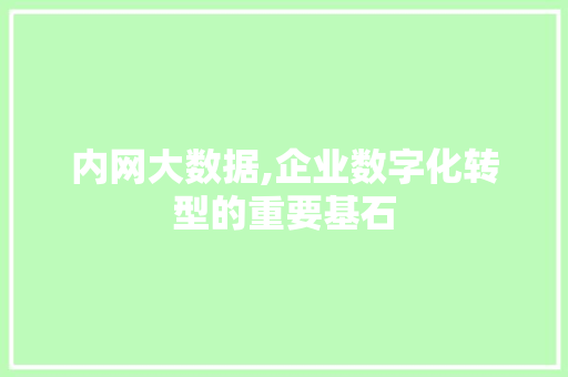 内网大数据,企业数字化转型的重要基石
