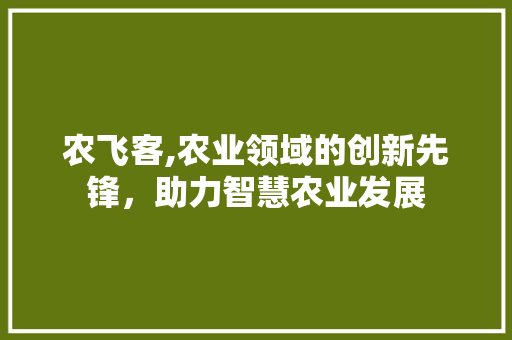 农飞客,农业领域的创新先锋，助力智慧农业发展