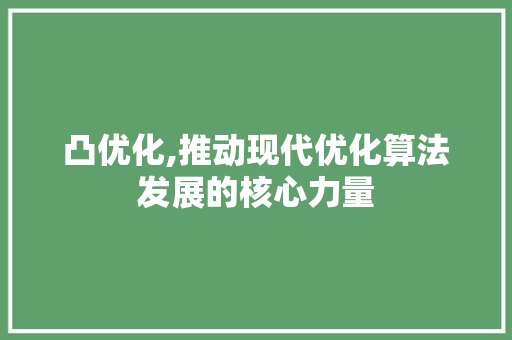凸优化,推动现代优化算法发展的核心力量