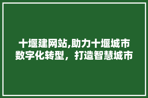 十堰建网站,助力十堰城市数字化转型，打造智慧城市新标杆