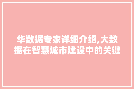华数据专家详细介绍,大数据在智慧城市建设中的关键作用 Web前端