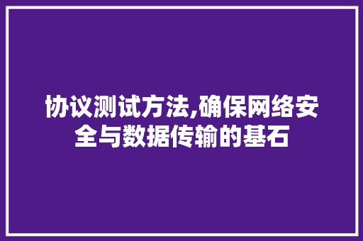 协议测试方法,确保网络安全与数据传输的基石