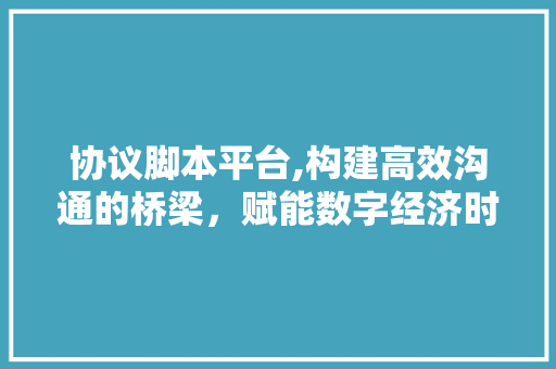 协议脚本平台,构建高效沟通的桥梁，赋能数字经济时代