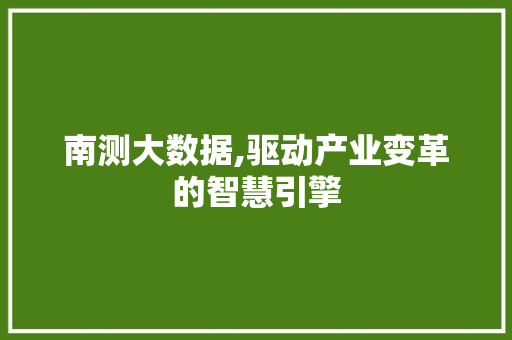 南测大数据,驱动产业变革的智慧引擎