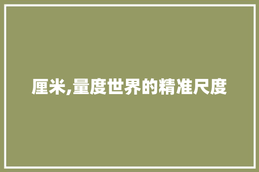 厘米,量度世界的精准尺度