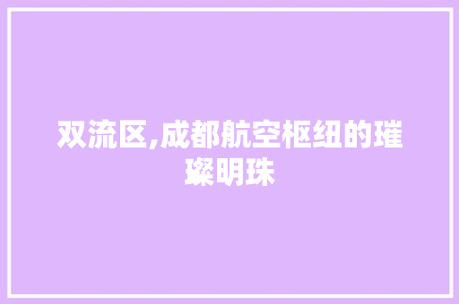 双流区,成都航空枢纽的璀璨明珠 SEO教程