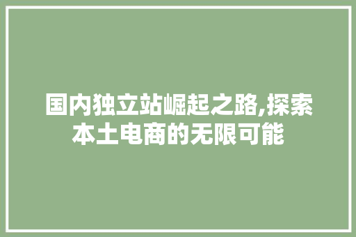 国内独立站崛起之路,探索本土电商的无限可能
