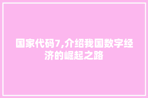 国家代码7,介绍我国数字经济的崛起之路
