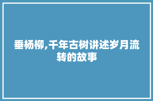 垂杨柳,千年古树讲述岁月流转的故事