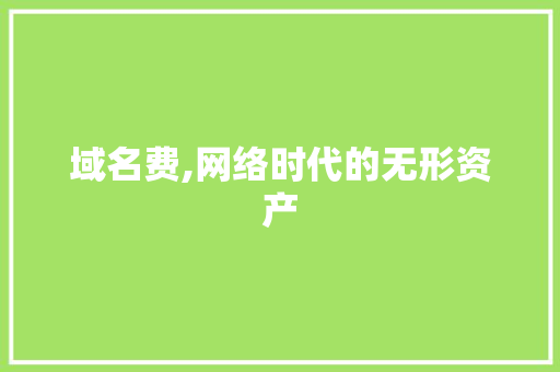 域名费,网络时代的无形资产