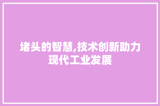 堵头的智慧,技术创新助力现代工业发展