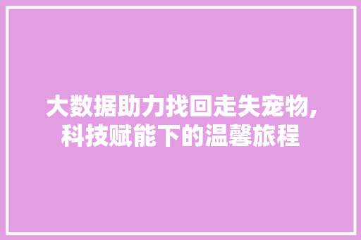 大数据助力找回走失宠物,科技赋能下的温馨旅程