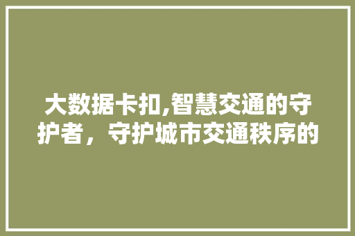 大数据卡扣,智慧交通的守护者，守护城市交通秩序的利器