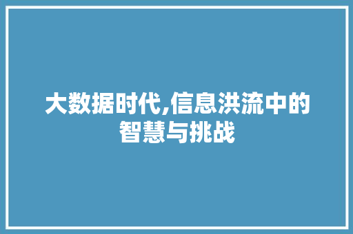 大数据时代,信息洪流中的智慧与挑战 服务器/数据库