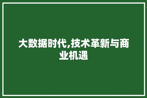 大数据时代,技术革新与商业机遇