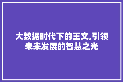 大数据时代下的王文,引领未来发展的智慧之光