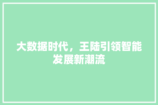 大数据时代，王陆引领智能发展新潮流 服务器/数据库
