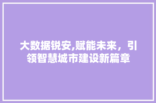大数据锐安,赋能未来，引领智慧城市建设新篇章