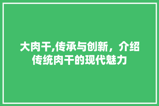 大肉干,传承与创新，介绍传统肉干的现代魅力