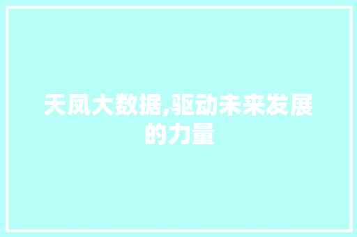 天凤大数据,驱动未来发展的力量