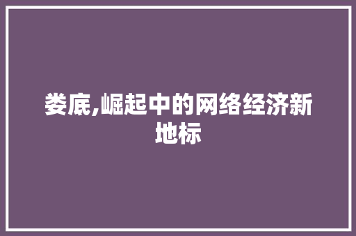 娄底,崛起中的网络经济新地标