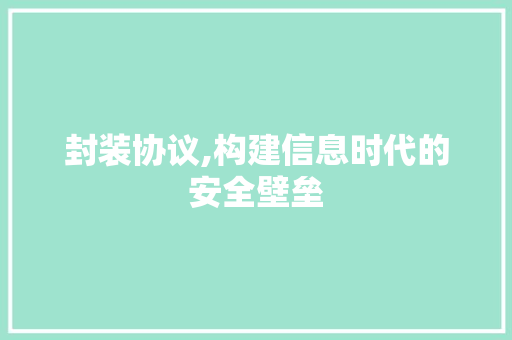 封装协议,构建信息时代的安全壁垒 Web前端