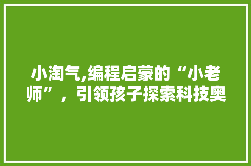 小淘气,编程启蒙的“小老师”，引领孩子探索科技奥秘