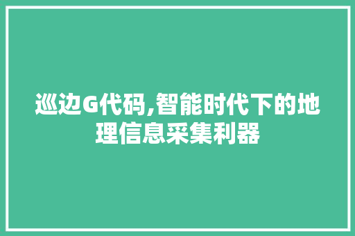 巡边G代码,智能时代下的地理信息采集利器