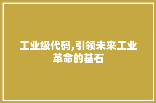 工业级代码,引领未来工业革命的基石