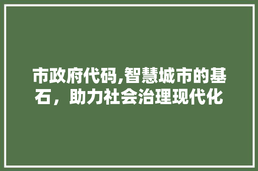 市政府代码,智慧城市的基石，助力社会治理现代化