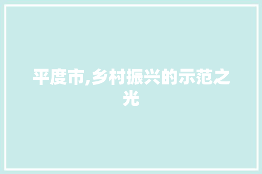 平度市,乡村振兴的示范之光 Web前端