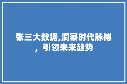 张三大数据,洞察时代脉搏，引领未来趋势