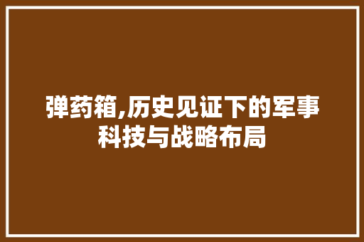 弹药箱,历史见证下的军事科技与战略布局